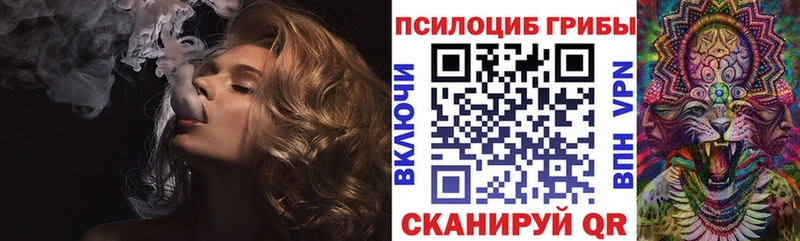 Галлюциногенные грибы Magic Shrooms сколько стоит Заволжск